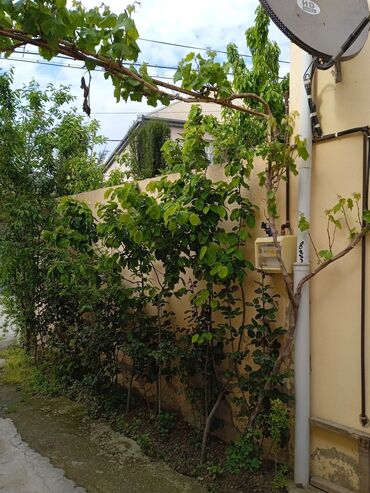 Həyət evləri və villaların satışı: 4 otaqlı, 110 kv. m, Kredit yoxdur, Yeni təmirli — 14