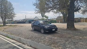 камри 75 2022: Toyota Camry: 2005 г., 2.4 л, Автомат, Бензин, Седан — 4