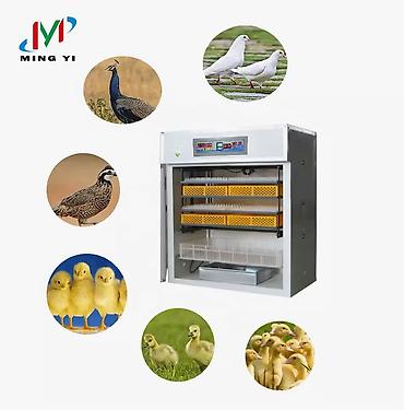 Товары и оборудование для с/х животных: Инкубатор Промышленный 352 жумуртка полынй автомат . Инкубатор 1056 — 9