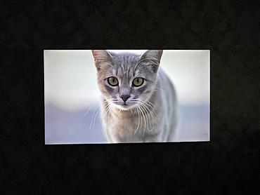 redmi 32: Телевизор Xiaomi Mi TV — Smart TV, 4K Продаю телевизор Xiaomi в — 1