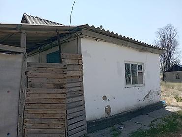 участак ак ордо: 5 соток, Для сельского хозяйства, Красная книга — 5