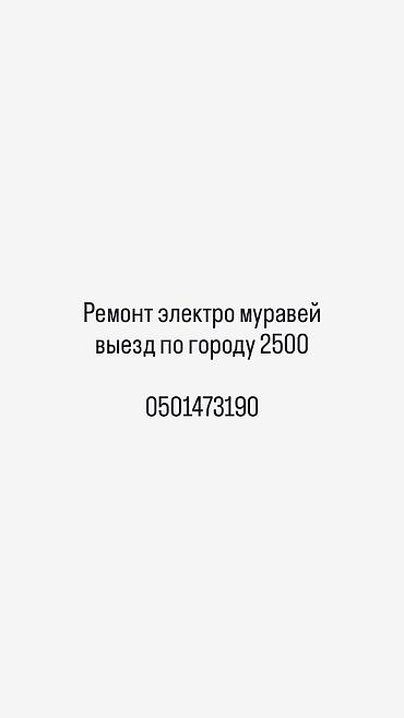 мотор морнинг: Ремонт электромото-трициклов «Муравей» (электро-грузовые трициклы) - — 7