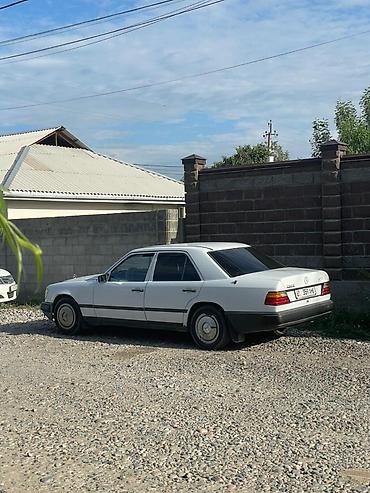 лт 46 2 8: Mercedes-Benz W124: 1988 г., 2.3 л, Бензин, Седан — 8