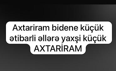etibarlı əllərə itler: Kimdə küçük var yazin — 1
