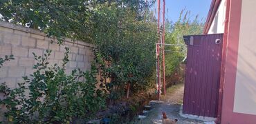 Həyət evləri və villaların satışı: 5 otaqlı, 120 kv. m, Yeni təmirli -da lalafo.az — 13 Həyət evləri və villaların satışı: 5 otaqlı, 120 kv. m, Yeni təmirli — 13