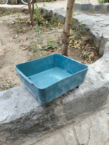 Yuvalar: Kerella yuva 7 eded 4 Iran qefesi 10 eded 10 azn Balaca yuva 47 eded -da lalafo.az — 5 Yuvalar: Kerella yuva 7 eded 4 Iran qefesi 10 eded 10 azn Balaca yuva 47 eded — 5