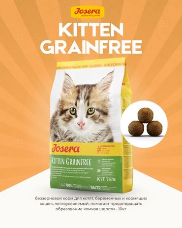 разные породы кошек: Josera Kitten Grainfree — беззерновой сухой корм супер-премиум класса