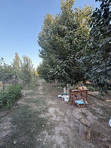Продажа коттеджей и домов: 🏡 Продаётся уютный дом в Новопавловке — ул. Колхозная, 85, 350 метров — 27