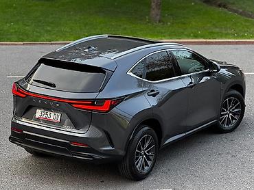 lexus 360: Lexus NX: 2023 г., 2.4 л, Автомат, Бензин, Кроссовер — 5