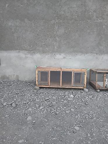 ördək balası və cücə: Cuce kefesdir boyku 50m
 çikiyi30m — 5