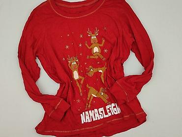 kotki: T-shirt damski, rozmiar 5XL — 1