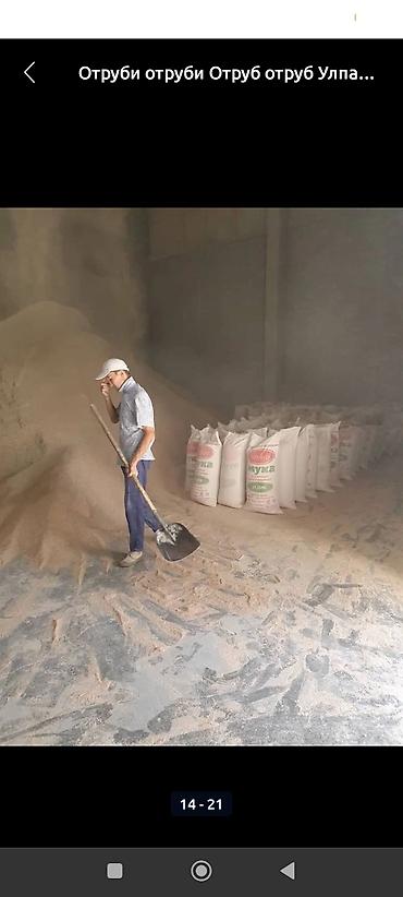 Корма для с/х животных: Улпак отруби кебек оптом - Натуральные отруби крупного и среднего — 8