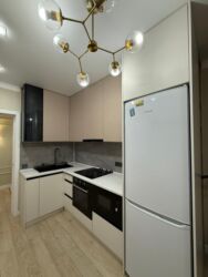 ак орго дом продаю: 2 комнаты, 63 м², Элитка, 8 этаж, Евроремонт
