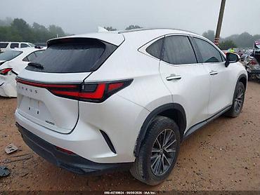 inter: Lexus NX: 2022 г., Автомат — 4