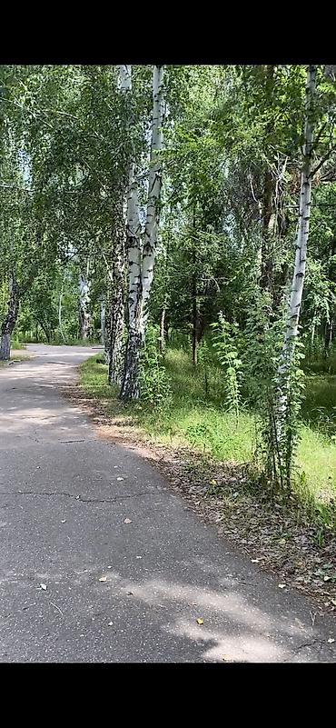 псо ак ордо: Гостевой дом на Иссык-Куле, академия, Сары-Ой, 2 места, Посуточно — 6
