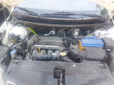 Kia: Kia Rio: 2015 г., 1.6 л, Механика, Бензин, Седан — 12