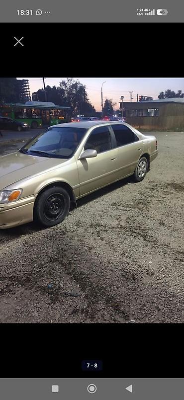 таета сина: Toyota Camry: 2004 г., Автомат, Бензин, Седан — 7