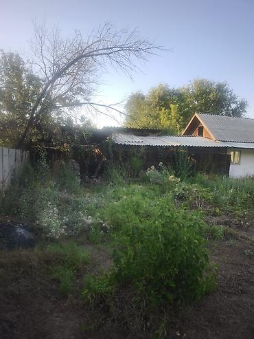 Продажа коттеджей и домов: 6 комнат и более, 250 м², 12 соток, Новопавловка, Собственник — 15
