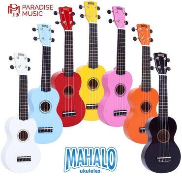 kanon musiqi aləti: 50₼ dən başlayan Ukulele 🎁Çanta hədiyyə Secim çoxdur mağazada daha çox at lalafo.az kanon musiqi aləti: 50₼ dən başlayan Ukulele 🎁Çanta hədiyyə Secim çoxdur mağazada daha çox