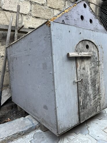 Yuvalar: Taxtadan hazırlanmış, qapısı olan it evi. İtinizi küləkdən, yağışdan lalafo.az -da Yuvalar: Taxtadan hazırlanmış, qapısı olan it evi. İtinizi küləkdən, yağışdan