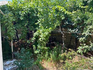 qusarda satılan heyet evleri: 3 otaqlı, 139 kv. m, Orta təmir — 7
