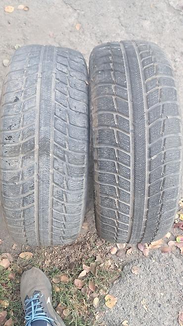 шина 12 16 5: Продаются автомобильные шины Michelin, комплект из 2 штук — 1