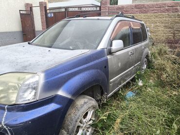 продажа nissan primera: Nissan X-Trail: 2003 г., 2 л, Автомат, Бензин