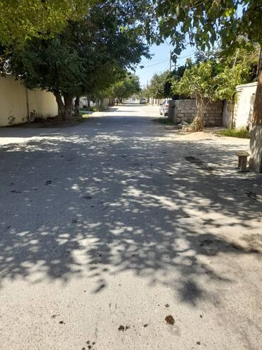 şirvan əmlak az: 3 sot, Kənd təsərrüfatı, Mülkiyyətçi, Kupça (Çıxarış)