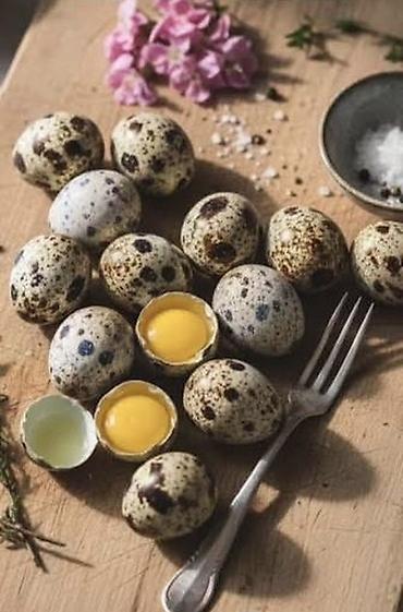 bildirçin əti satışı: 🥚 Təbii bildirçin yumurtası – hər gün təzə! Satışda keyfiyyətli və — 1