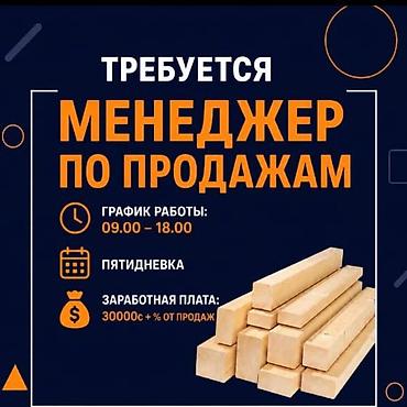 вакансии туроператоров: Требуется менеджер по продажам . Компания занимается продажей леса — 1