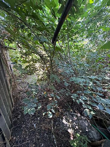 Продажа времянок: Маевка, времянка, рядом садик, школа, больница, айыл окмоту маевки — 9