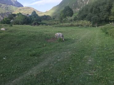 lenkeran torpaq: 5 sot, Tikinti, Maklerlər narahat etməsin, Kupça (Çıxarış)