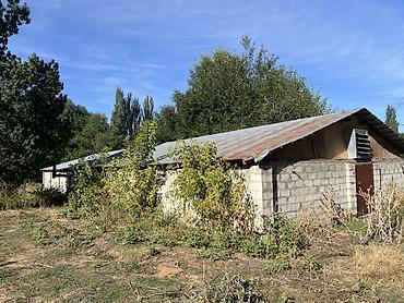 город каинда: Петровка айылынан уй сатылат,документтери баары жайында.Баасы келишим — 4