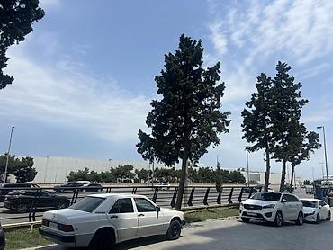 Mənzil kirayələyirəm: 2 otaqlı, 60 kv. m — 39