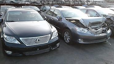 рога на лексус: Lexus ls460 бампер крыло фары фара капот бочек решётка зеркала — 4