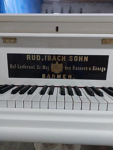 Royal, Akustik, Yeni, Pulsuz çatdırılma — 4
