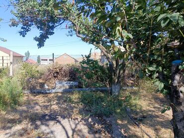 Продажа домов: Дом, 300 м², 4 комнаты, Собственник, Косметический ремонт at lalafo.kg — 10 Продажа домов: Дом, 300 м², 4 комнаты, Собственник, Косметический ремонт — 10