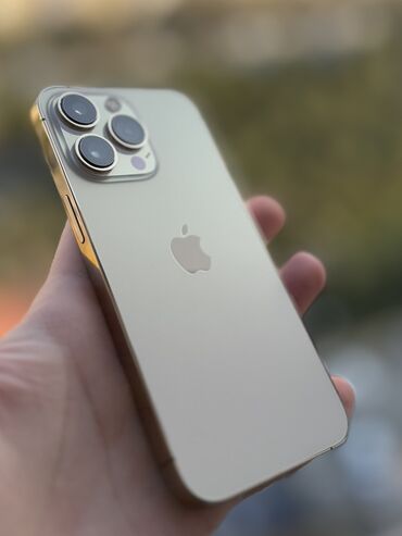 Apple iPhone: IPhone 13 Pro, 256 GB, Matte Gold, Face ID