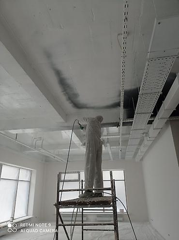 Покраска: Покраска стен, Покраска потолков, Покраска окон, На масляной основе, На водной основе, Больше 6 лет опыта — 9