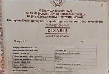 nzs qesebesi: 8 sot, Tikinti, Kupça (Çıxarış) — 2