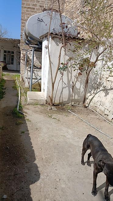 Torpaq sahələrinin satışı: Tikinti — 12