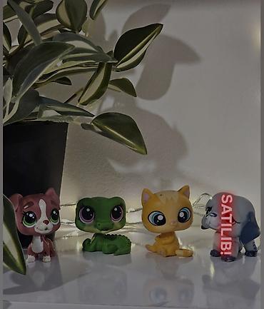 cücə satışı 2022: Littlest pet shop oyuncaqlar,yeni təmiz 1 dene - 5 azn hamısını — 5