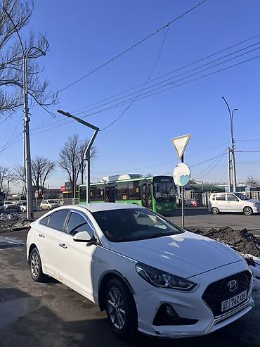 Hyundai: Hyundai Sonata: 2019 г., 2 л, Автомат, Бензин, Седан — 2