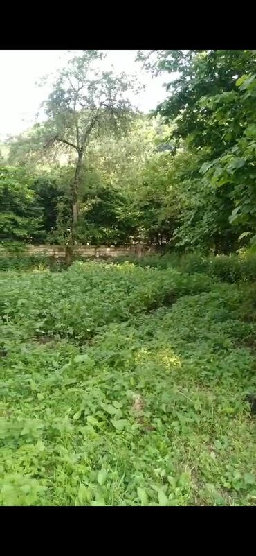 torpaq xacmaz: 15 sot, Kupça (Çıxarış)