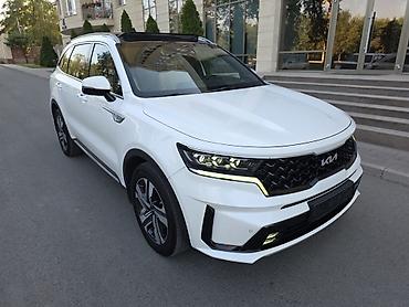 Kia: Kia Sorento: 2022 г., 1.6 л, Автомат, Гибрид, Кроссовер — 16