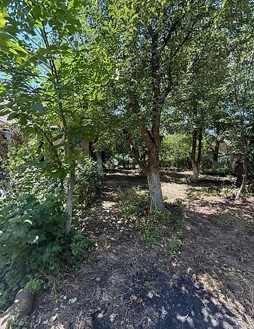 Продажа дач: Дача Кой-Таш.Кирпичный дом 6 соток."Эдельвейс".Красная книга.Все — 26