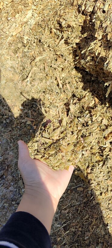 продам домик для кошки: Продаю силос по 5.5сом.г Кант с.Ак-кудук 
звоните по этому номеру