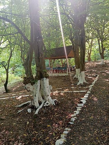 Günlük kirayə evlər: Masalli rayonu. İsti su istirahet merkezine yaxin. Turan restoranina — 35