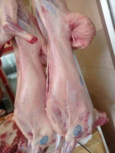 dəvə əti: Qurbanlıq Quzu və Qoçlar, 15kq - 25kq 18.50₼ - 18₼