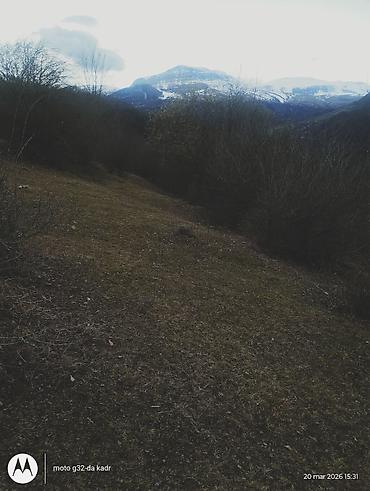 Torpaq sahələrinin satışı: 130 sot, Kənd təsərrüfatı, Kupça (Çıxarış) — 10